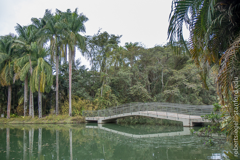 minas gerais